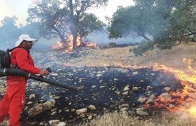 مهار آتشسوزی جنگلهای چشمه انجیری