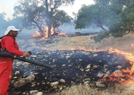 مهار آتش‌سوزی جنگل‌های چشمه انجیری