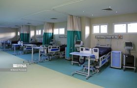 ۳۰ درصد مراجعان به بیمارستان‌های شیراز از دیگر استان‌ها هستند