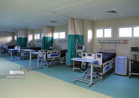 ۳۰ درصد مراجعان به بیمارستان‌های شیراز از دیگر استان‌ها هستند