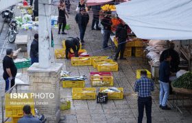 ممنوعیت فعالیت اصناف در دروازه کازرون؛ شروع فعالیت در بازار پروتئین