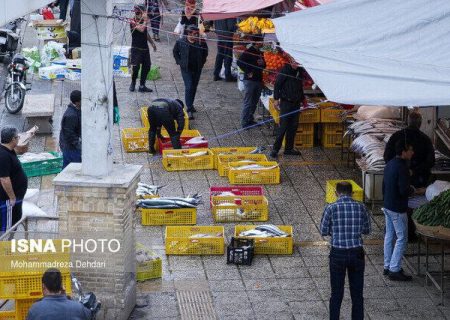 ممنوعیت فعالیت اصناف در دروازه کازرون؛ شروع فعالیت در بازار پروتئین