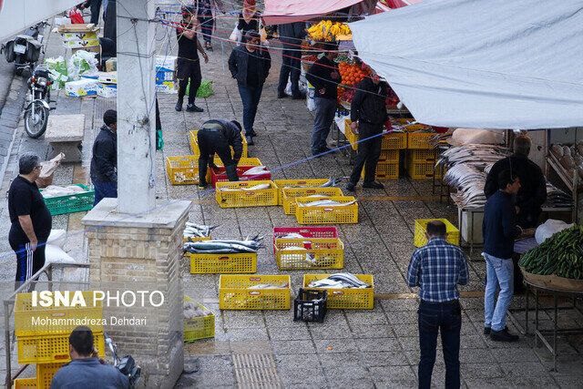 ممنوعیت فعالیت اصناف در دروازه کازرون؛ شروع فعالیت در بازار پروتین