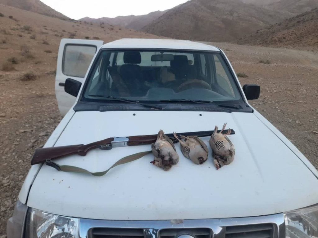 دستگیری ۱۲ شکارچی غیرمجاز در اقلید