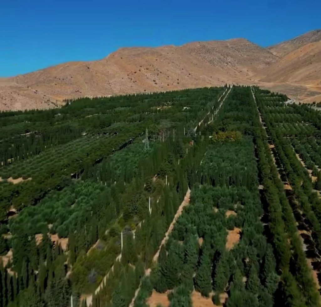 باغ بش تا پایان امسال در اختیار شهروندان قرار می گیرد