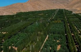 باغ بش تا پایان امسال در اختیار شهروندان قرار می گیرد