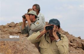 دستگیری شکارچیان متخلف پیش از اقدام به شکار در پارک ملی بمو