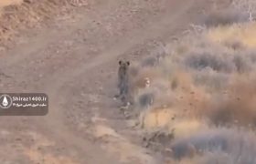 🎥: حیات وحش پارک ملی بمو