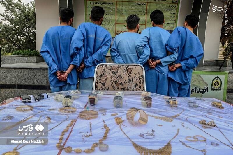 انهدام ۶۶ باند سرقت و دستگیری بیش از ۶۰۰ سارق