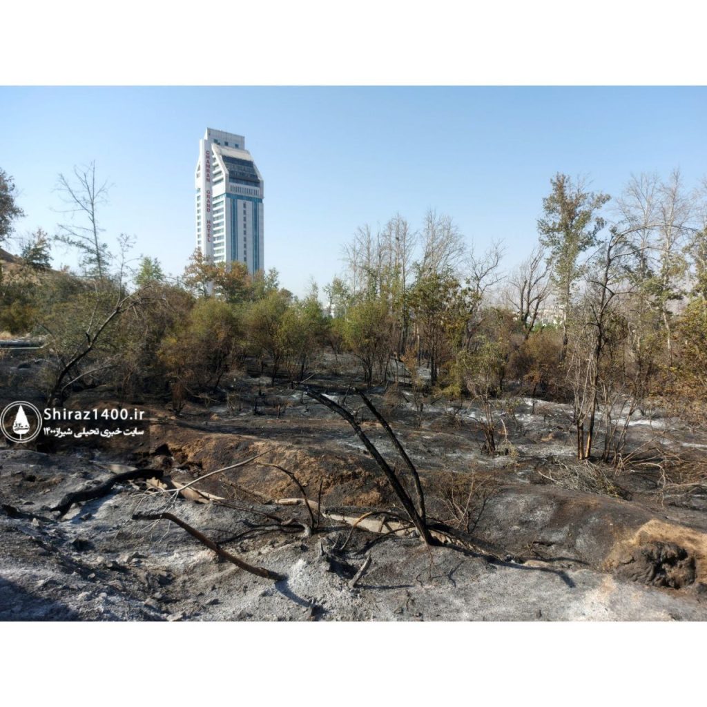 ۶ حریق در باغات استحفاظی شیراز طی سال جاری