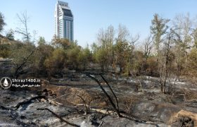 ۶ حریق در باغات استحفاظی شیراز طی سال جاری