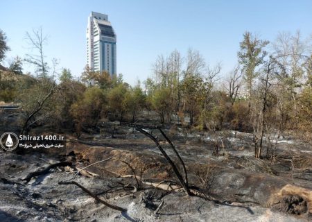 ۶ حریق در باغات استحفاظی شیراز طی سال جاری