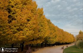 📸: طبیعت پاییزی اکوپارک صدرا
