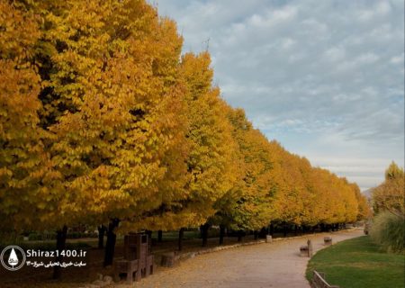 📸: طبیعت پاییزی اکوپارک صدرا