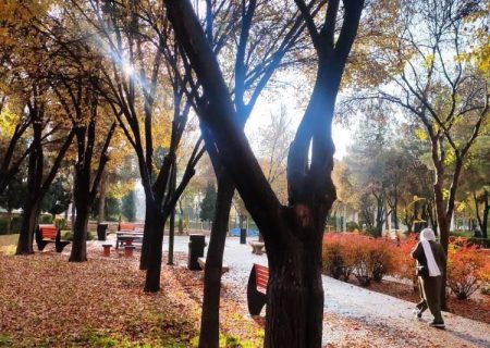 📸: طراوت هوای شیراز در پی بارش باران