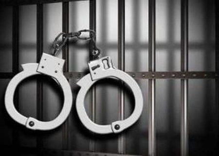 سارق منازل در شیراز دستگیر شد