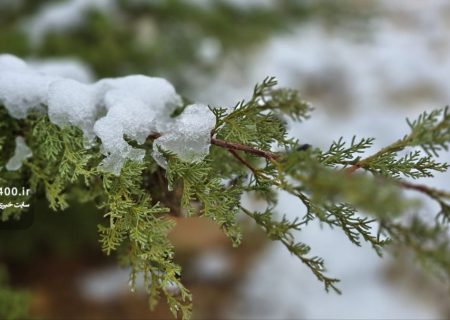 آمار بارش شیراز و شهرهای فارس/ ۲۸ آذر ۱۴۰۴