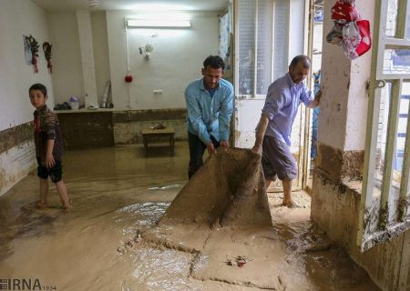 بارش سنگین، به ۶۰۰ منزل مسکونی لامرد خسارت وارد کرد