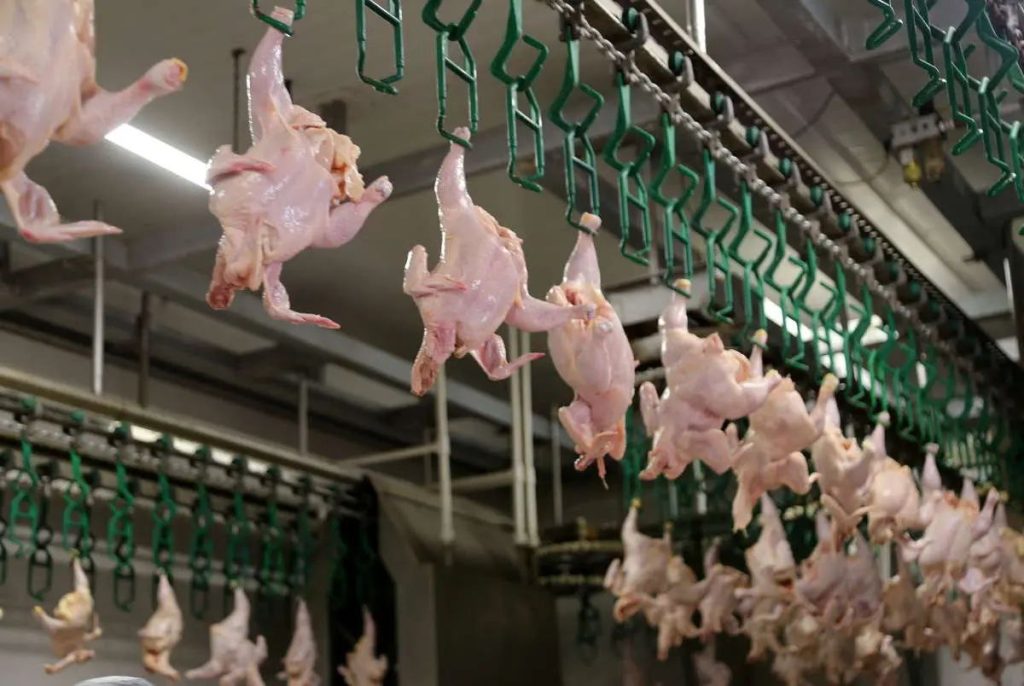 هر کیلو 200 هزار تومان؛ 