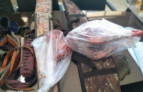 شبکه متخلفان شکار و صید اقلید به دام افتادند