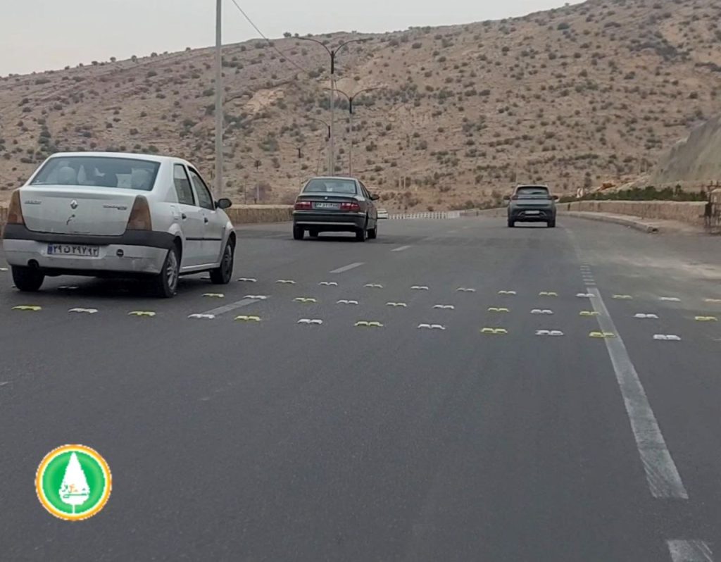 photo_2025-12-26_01-08-09 اجرای علائم برجسته عرضی و سرعتکاه در بزرگراهها مغایر ضوابط قانونی است