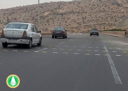 اجرای علائم برجسته عرضی و سرعتکاه در بزرگراه‌ها مغایر ضوابط قانونی است