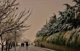 آمار بارش شیراز و شهرهای فارس/ ۷ دی ۱۴۰۴