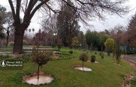 جهرم در صدر بارش‌های اخیر