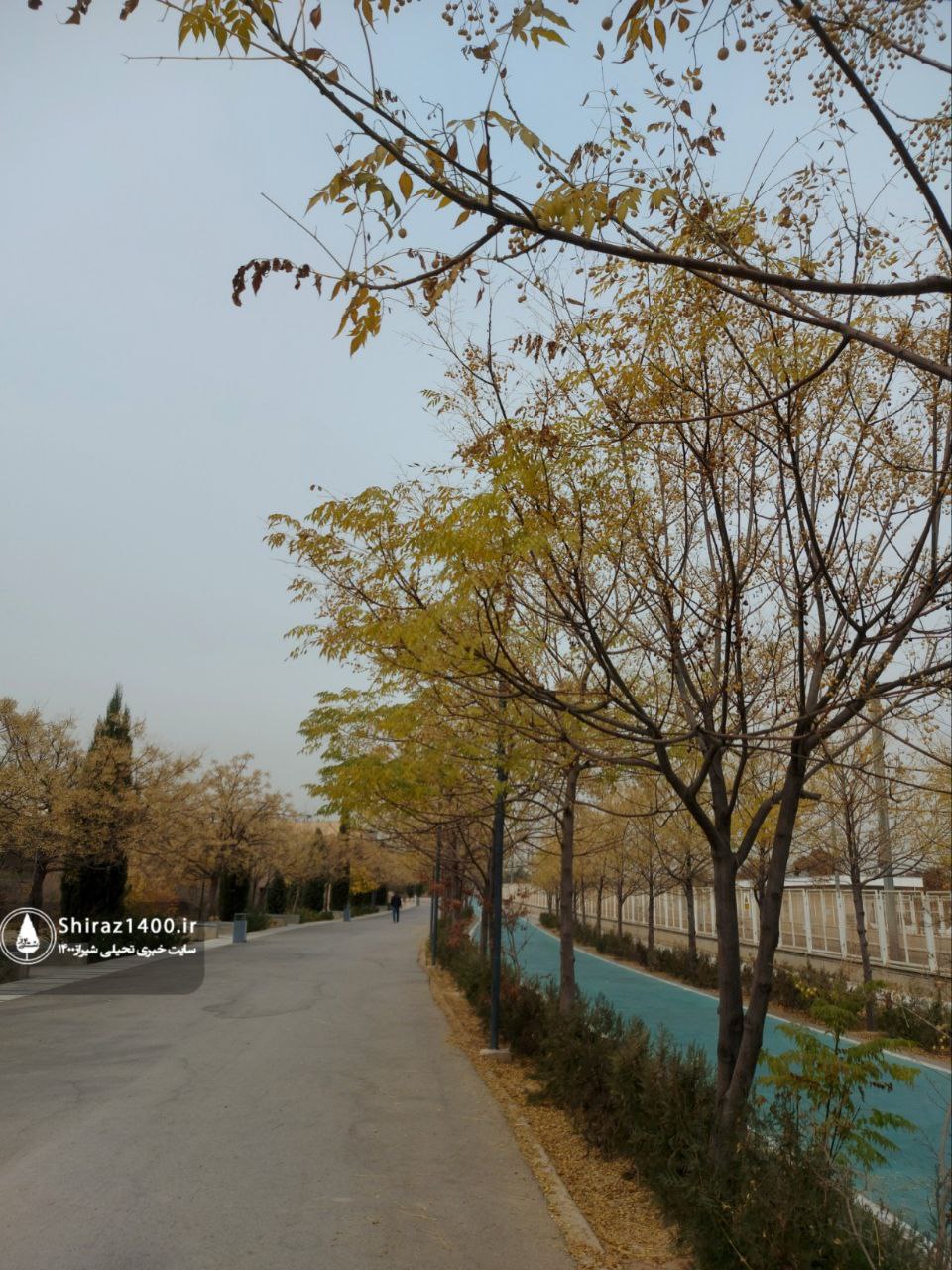 پیادهراه سلامت چمران و آثار سمپوزیوم ۹۸ شیراز