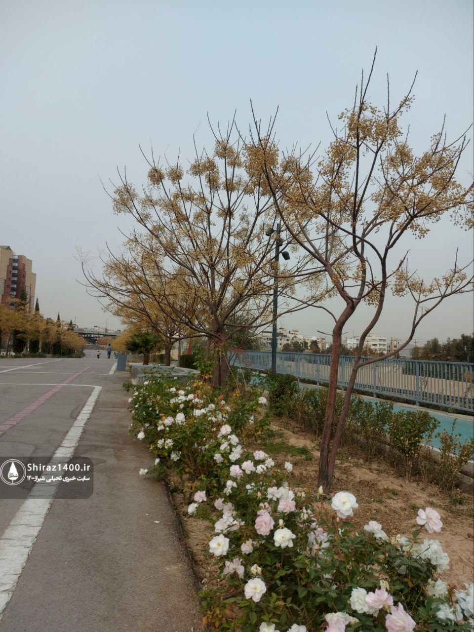 پیادهراه سلامت چمران و آثار سمپوزیوم ۹۸ شیراز