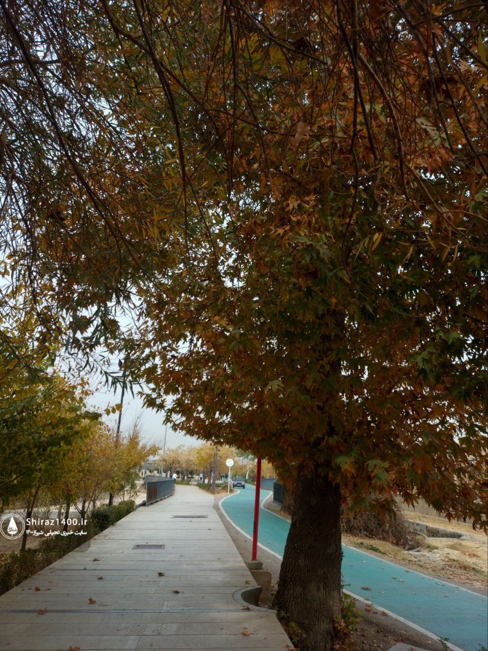 پیادهراه سلامت چمران و آثار سمپوزیوم ۹۸ شیراز