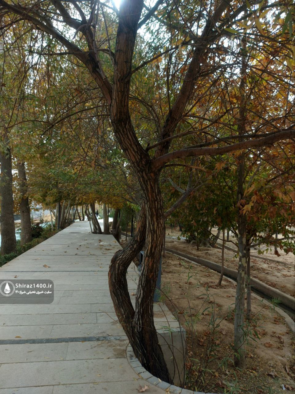 پیادهراه سلامت چمران و آثار سمپوزیوم ۹۸ شیراز