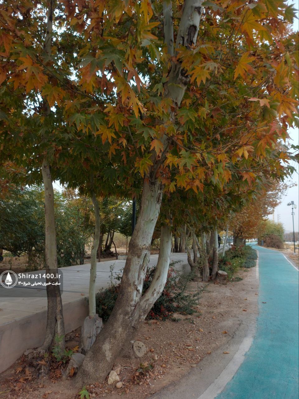 پیادهراه سلامت چمران و آثار سمپوزیوم ۹۸ شیراز