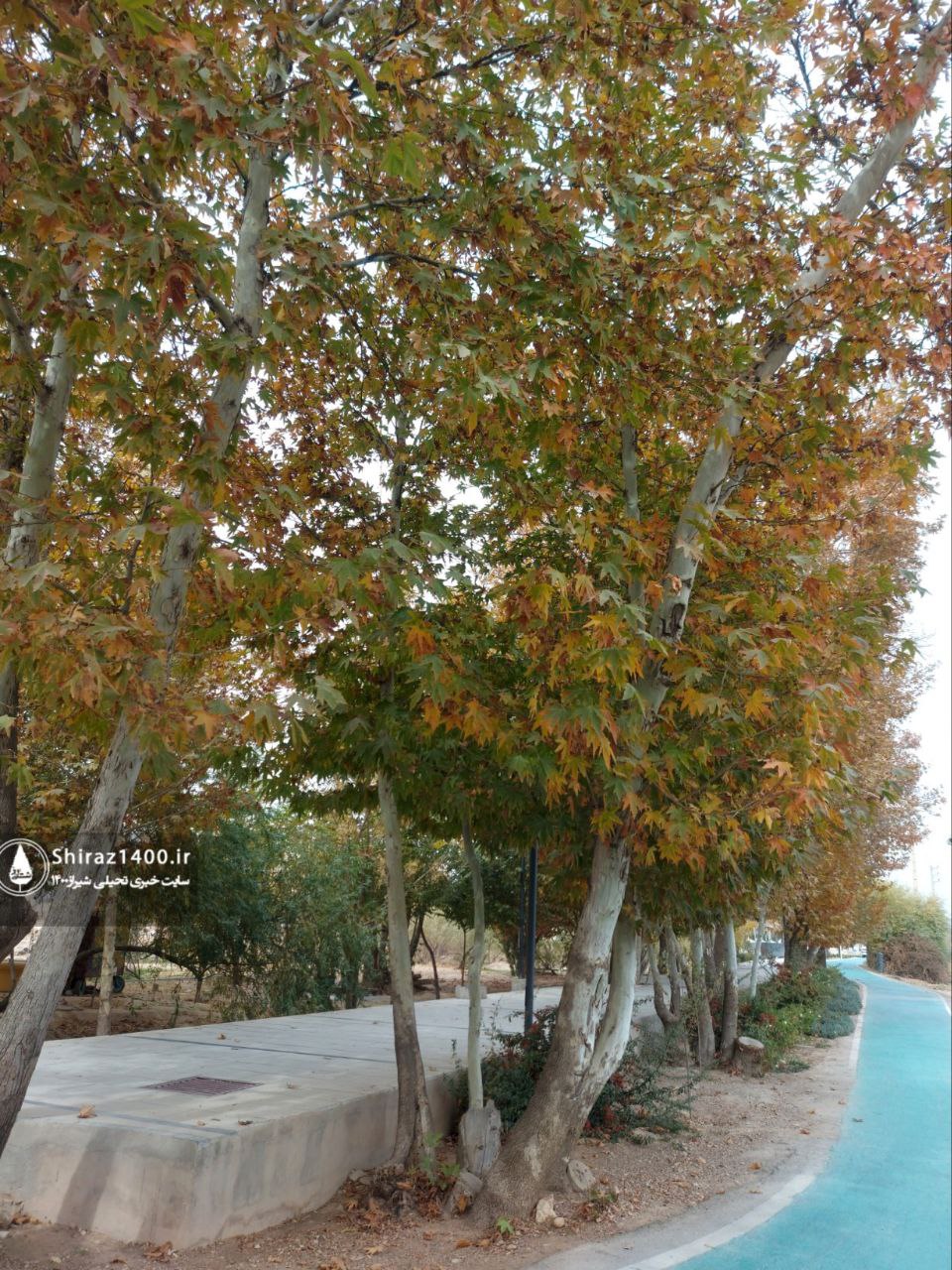 پیادهراه سلامت چمران و آثار سمپوزیوم ۹۸ شیراز