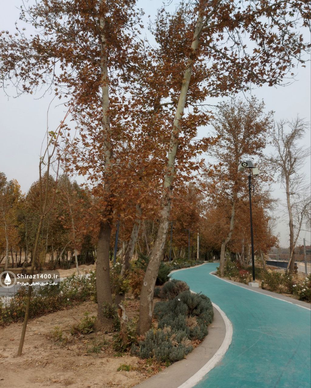 پیادهراه سلامت چمران و آثار سمپوزیوم ۹۸ شیراز