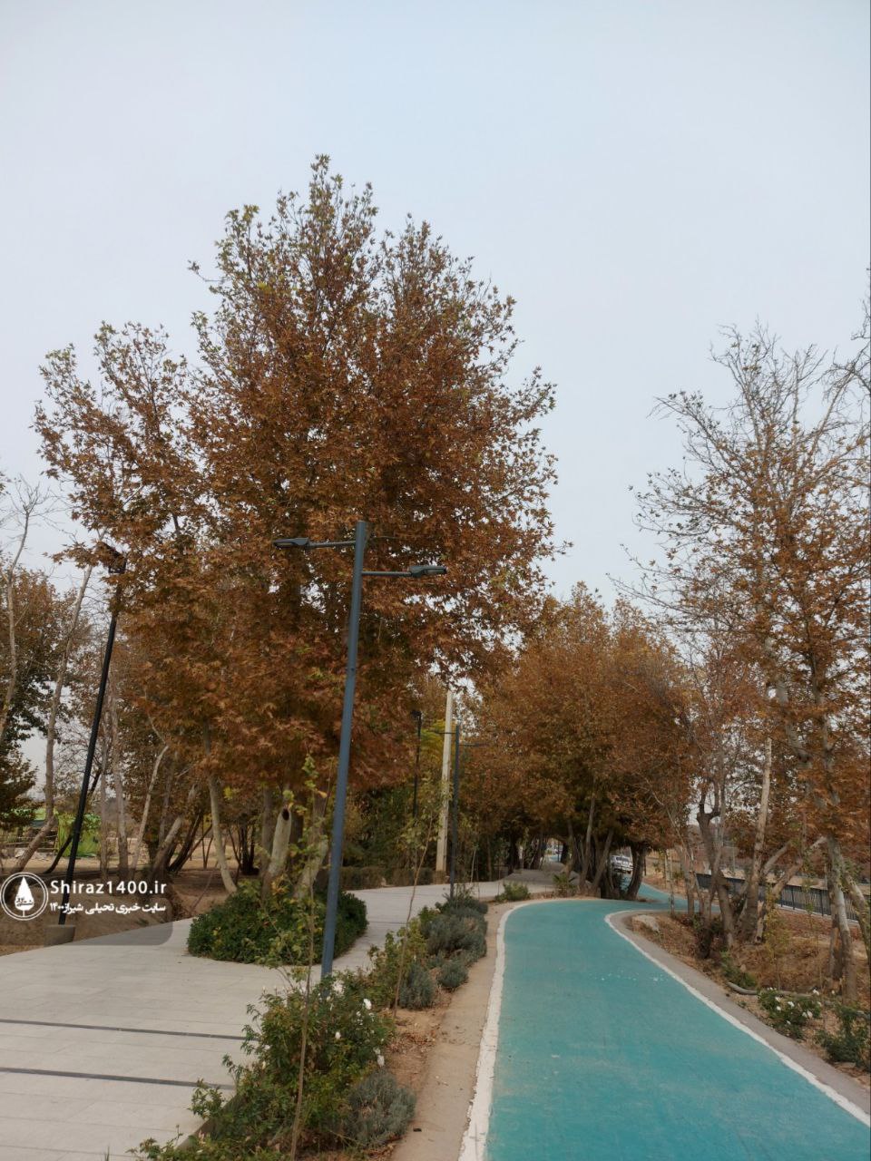 پیادهراه سلامت چمران و آثار سمپوزیوم ۹۸ شیراز