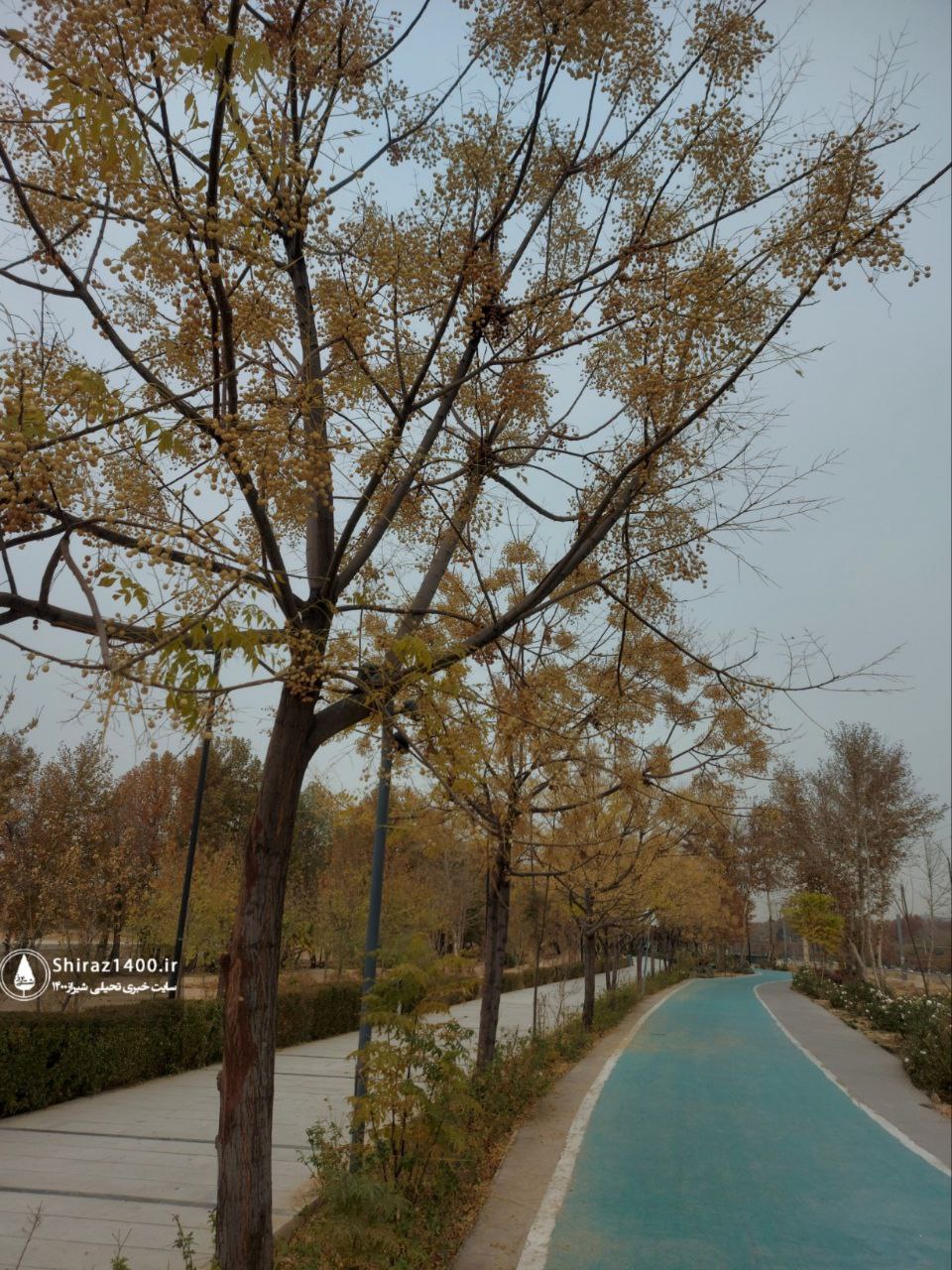 پیادهراه سلامت چمران و آثار سمپوزیوم ۹۸ شیراز