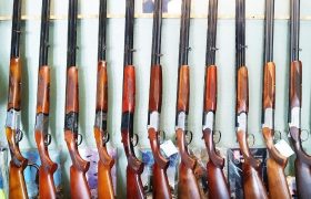 کشف ۱۱ قبضه سلاح شکاری در منطقه حفاظت‌شده ارژن شیراز