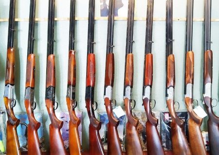 کشف ۱۱ قبضه سلاح شکاری در منطقه حفاظت‌شده ارژن شیراز